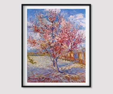 Reminiscence-of-Mauve2
